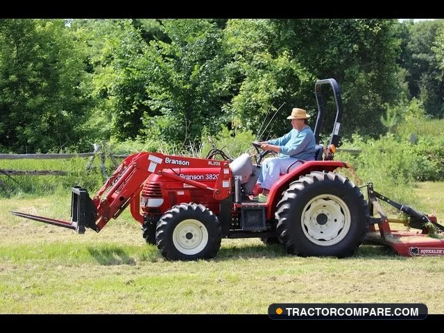 Branson 3820i